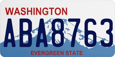 WA license plate ABA8763