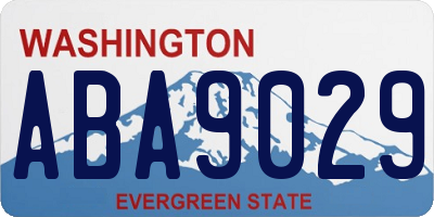 WA license plate ABA9029