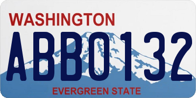 WA license plate ABB0132