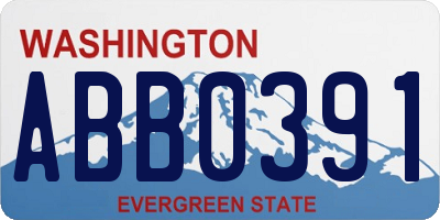 WA license plate ABB0391