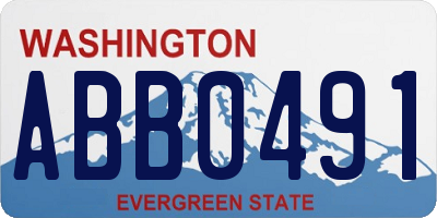 WA license plate ABB0491