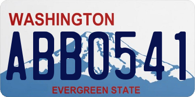 WA license plate ABB0541