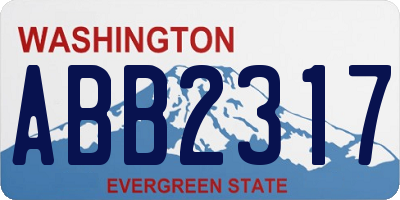 WA license plate ABB2317