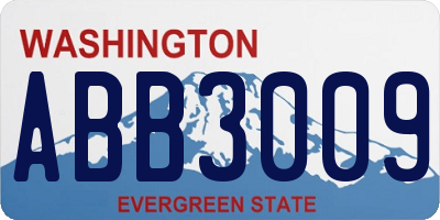 WA license plate ABB3009