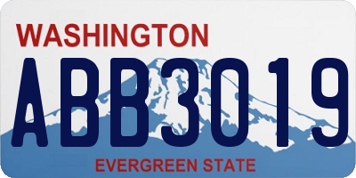 WA license plate ABB3019