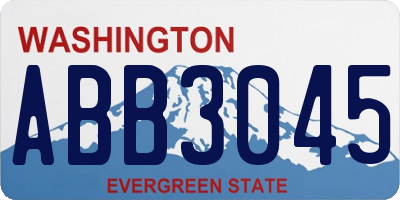 WA license plate ABB3045
