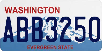 WA license plate ABB3250