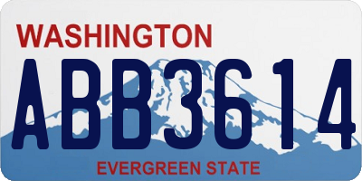 WA license plate ABB3614