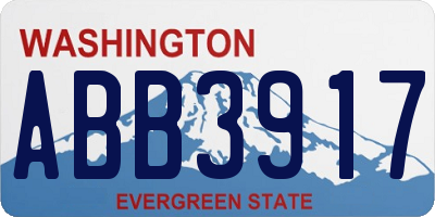 WA license plate ABB3917