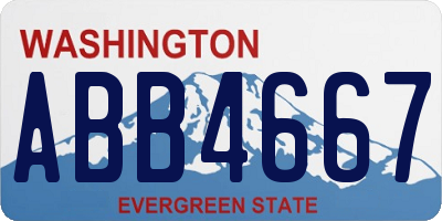 WA license plate ABB4667