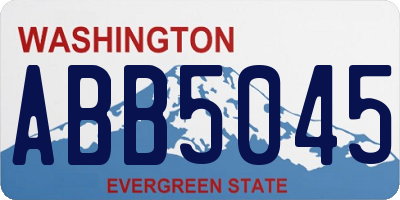 WA license plate ABB5045