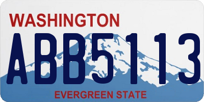 WA license plate ABB5113