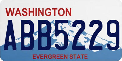 WA license plate ABB5229