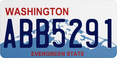 WA license plate ABB5291