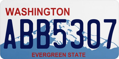 WA license plate ABB5307