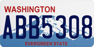 WA license plate ABB5308