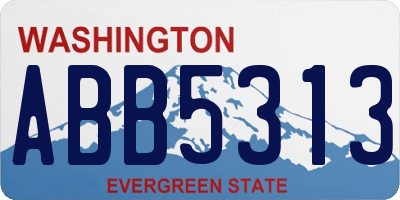WA license plate ABB5313