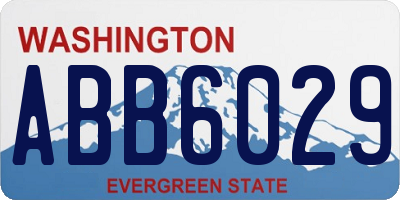 WA license plate ABB6029