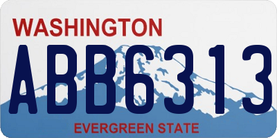 WA license plate ABB6313