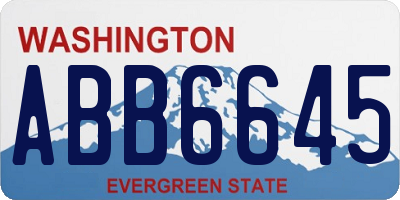WA license plate ABB6645