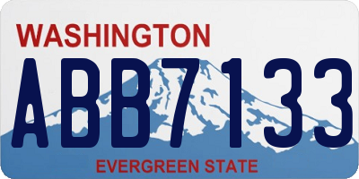 WA license plate ABB7133
