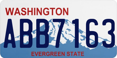 WA license plate ABB7163