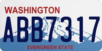 WA license plate ABB7317