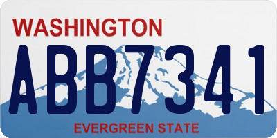 WA license plate ABB7341