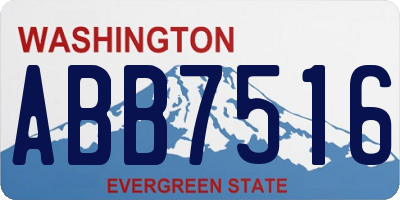 WA license plate ABB7516