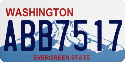 WA license plate ABB7517