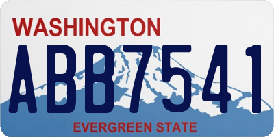 WA license plate ABB7541
