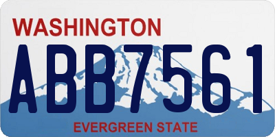 WA license plate ABB7561