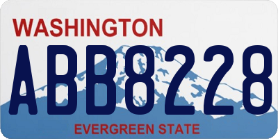 WA license plate ABB8228