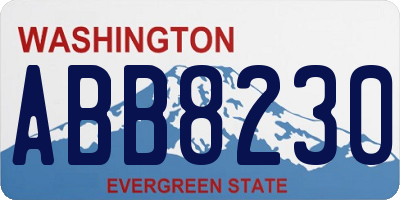WA license plate ABB8230