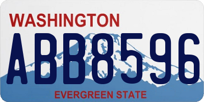 WA license plate ABB8596