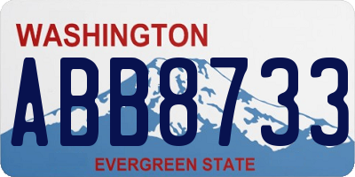 WA license plate ABB8733