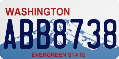 WA license plate ABB8738