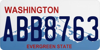 WA license plate ABB8763
