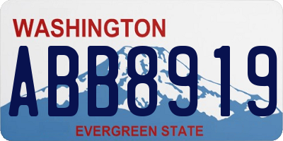 WA license plate ABB8919