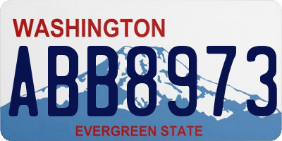 WA license plate ABB8973