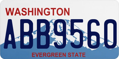 WA license plate ABB9560