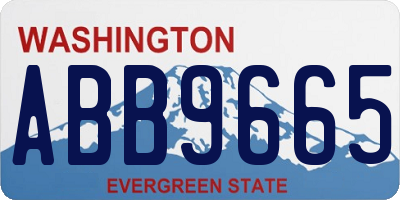 WA license plate ABB9665