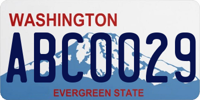 WA license plate ABC0029