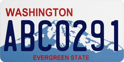 WA license plate ABC0291