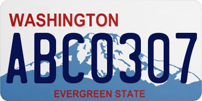 WA license plate ABC0307