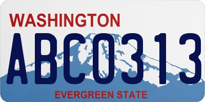 WA license plate ABC0313