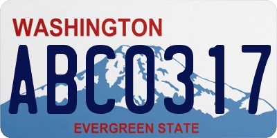 WA license plate ABC0317