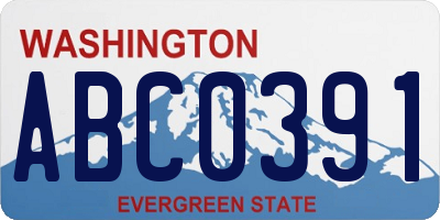 WA license plate ABC0391