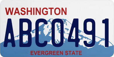 WA license plate ABC0491