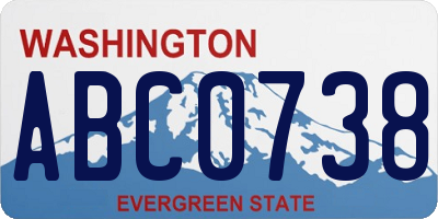 WA license plate ABC0738